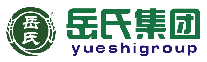 岳氏集团公司