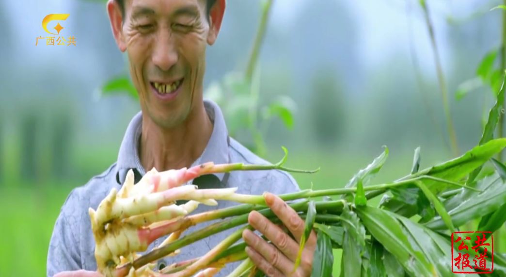 助推广西农村一二三产业融合 |全国农产品加工产业发展联盟（广西）三中心开启试运营