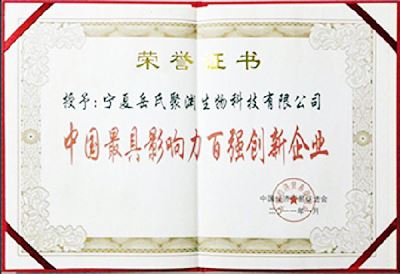 中国最具影响力百强创新企业