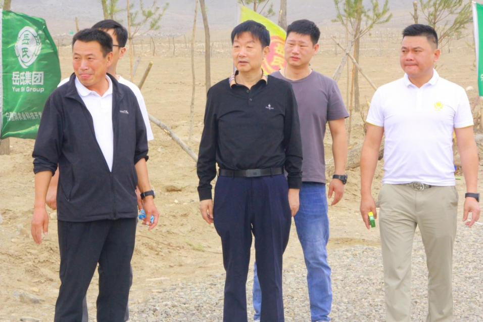 岳氏集团董事长岳平安莅临万亩酸枣种植基地视察工作推进情况