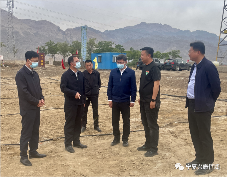 石嘴山市委书记王刚及市领导赵会勇、王宇翔莅临公司万亩酸枣种植基地现场调研指导工作