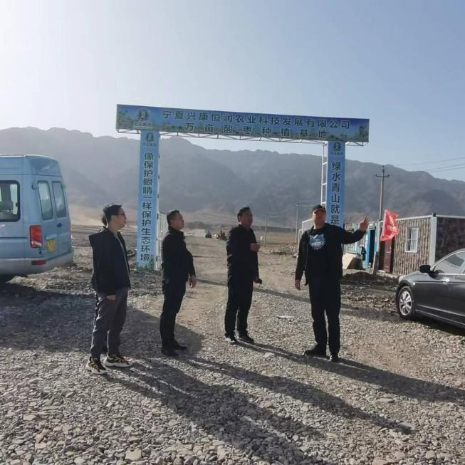 石嘴山市自然资源局局长贾增军一行赴岳氏集团野酸枣种植基地调研