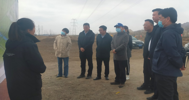 石嘴山市人大常委会副主任王金键视察兴康恒润酸枣种植项目