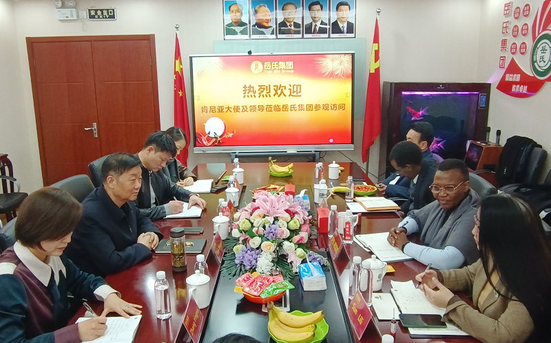 肯尼亚大使到访岳氏集团共筑中非商务友谊