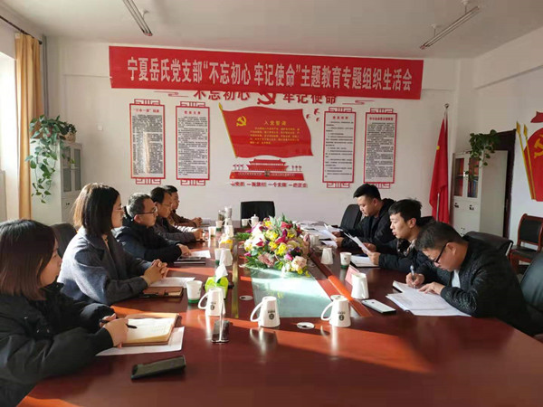 宁夏岳氏党支部召开“不忘初心，牢记使命”主题教育专题组织生活会