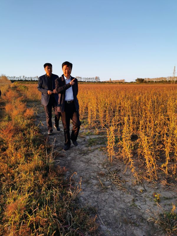 岳氏集团种植基地丰收在望