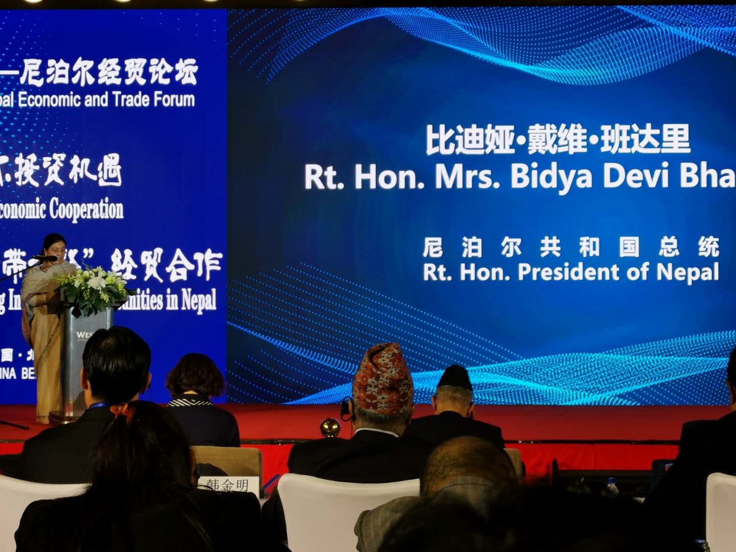 岳平安董事长出席2019中国-尼泊尔经贸论坛