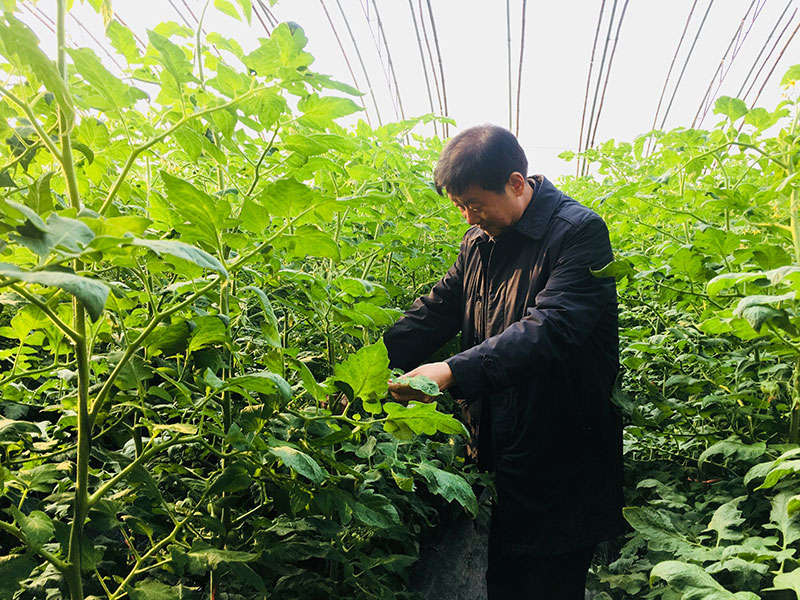 岳氏集团到河北临漳进行项目考察