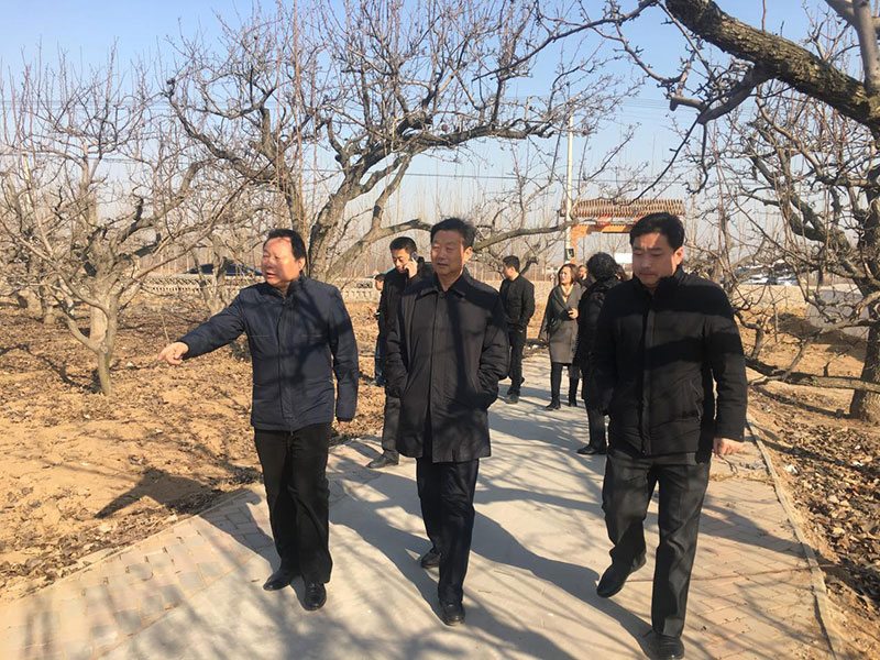岳氏集团到河北魏县农业项目进行考察