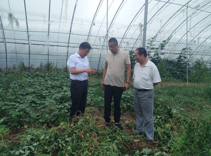 岳氏集团董事长岳平安赴博浩高效农业示范基地