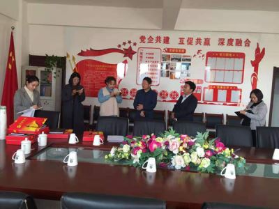 海兴开发区党工委副书记张振红视察岳氏党建工作