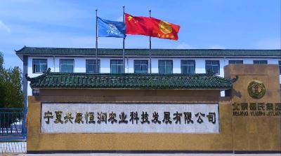 宁夏兴康恒润农业科技发展有限公司工作纪实