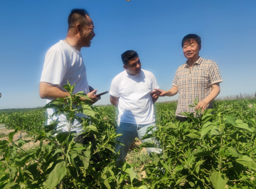 微信图片_2025-08-01_103632_206.png